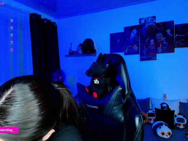 Nicorobin webcam