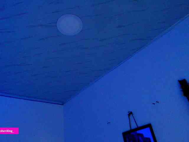 Nicorobin webcam