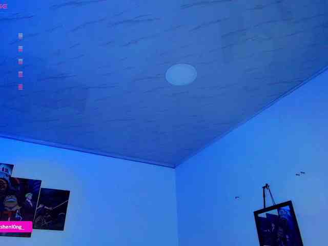 Nicorobin webcam