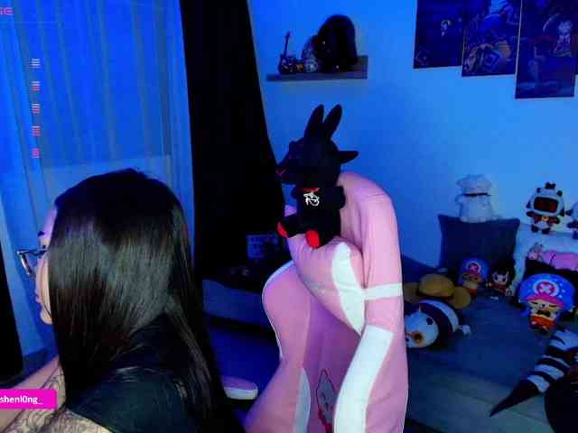 Nicorobin webcam