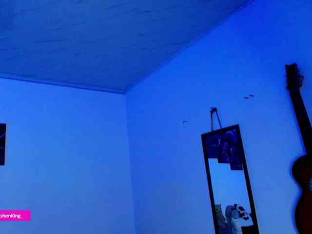 Nicorobin webcam