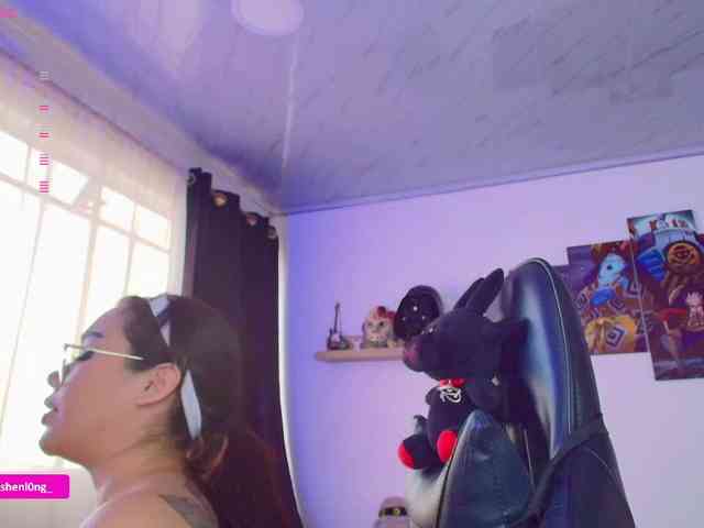 Nicorobin webcam