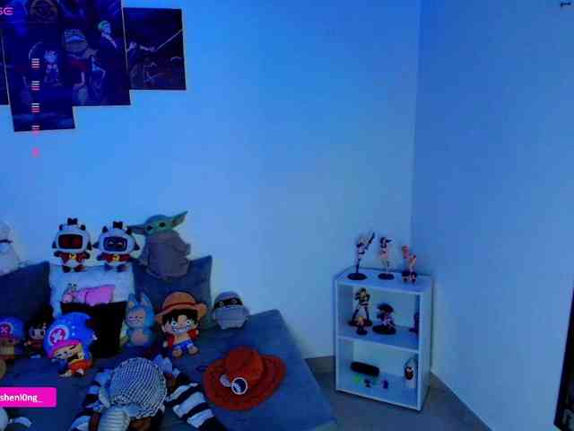 Nicorobin webcam