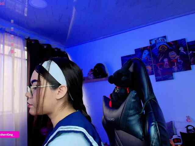 Nicorobin webcam