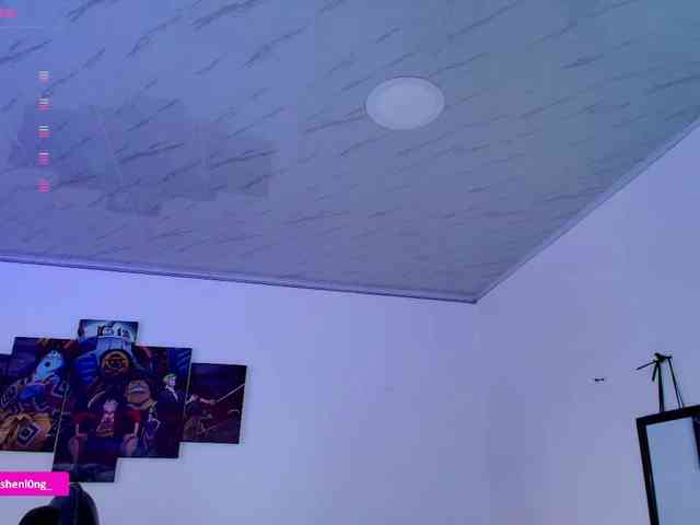 Nicorobin webcam