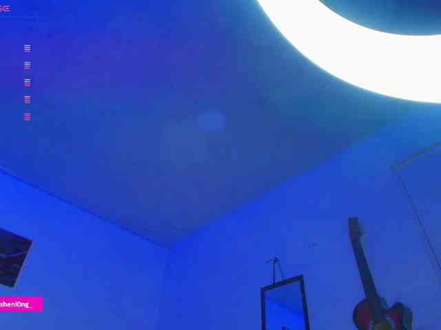 Nicorobin webcam
