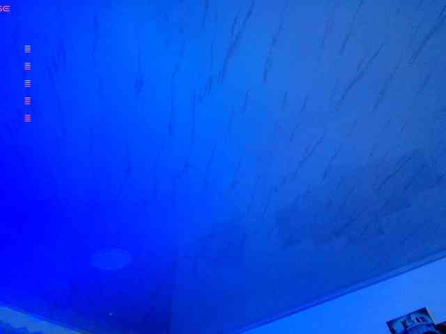 Nicorobin webcam