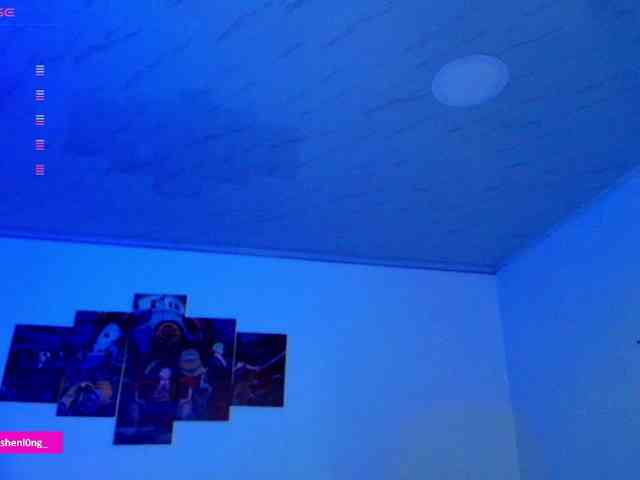 Nicorobin webcam