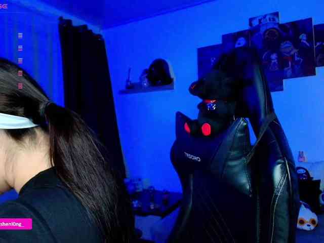 Nicorobin webcam