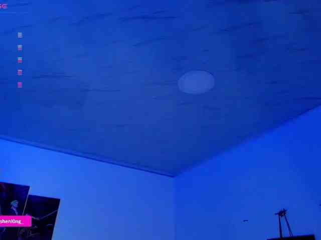 Nicorobin webcam