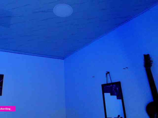 Nicorobin webcam
