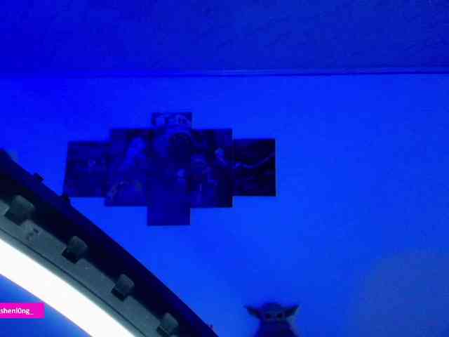 Nicorobin webcam
