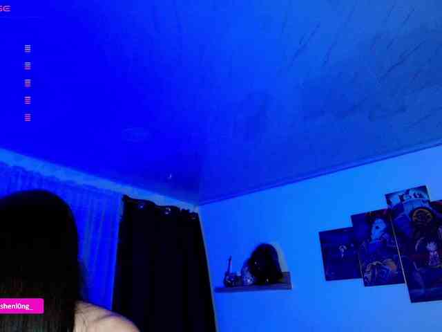 Nicorobin webcam