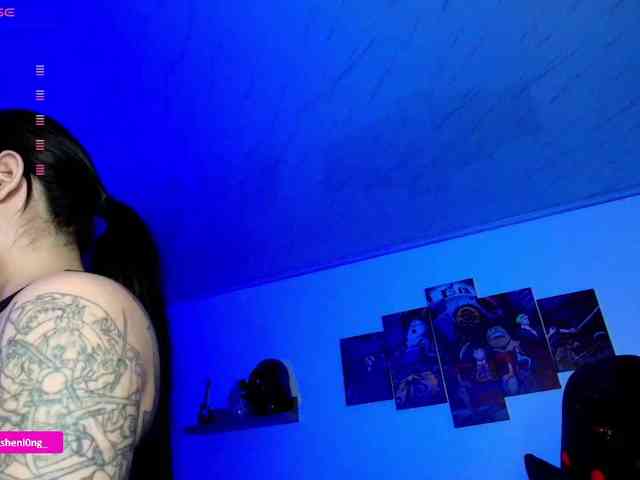 Nicorobin webcam