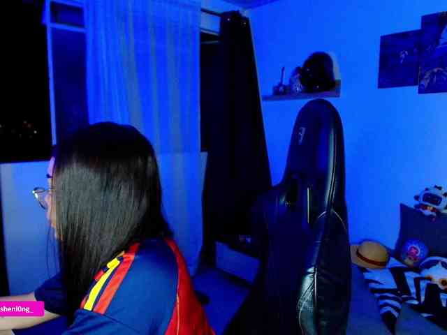 Nicorobin webcam