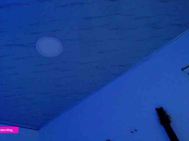 Nicorobin webcam