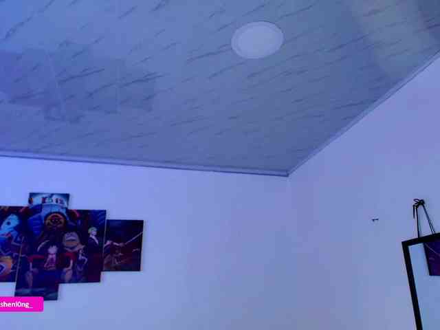 Nicorobin webcam