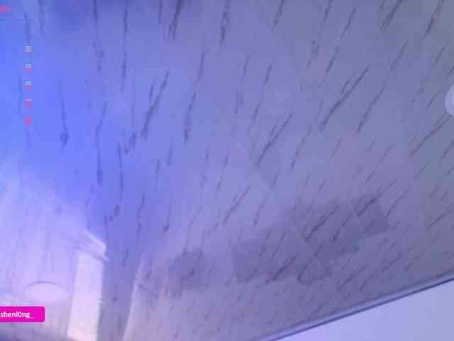 Nicorobin webcam