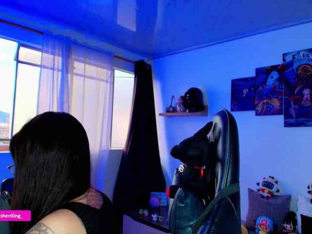 Nicorobin webcam