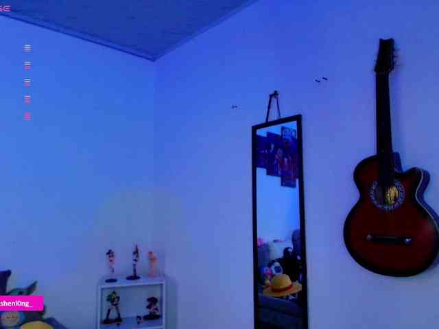 Nicorobin webcam