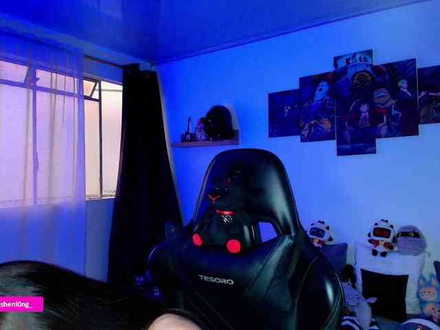 Nicorobin webcam