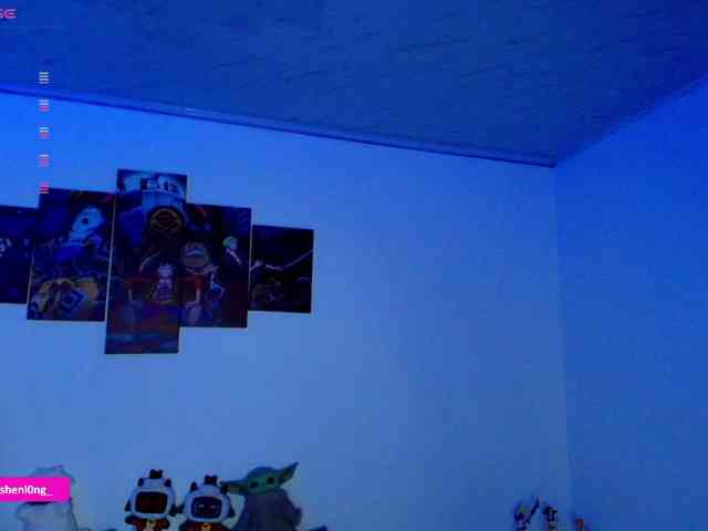 Nicorobin webcam
