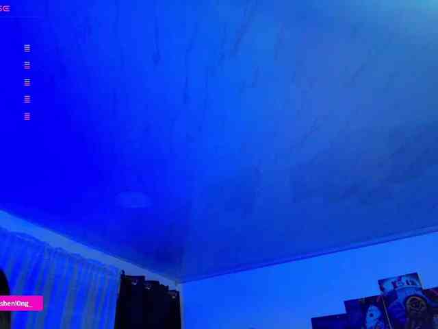 Nicorobin webcam