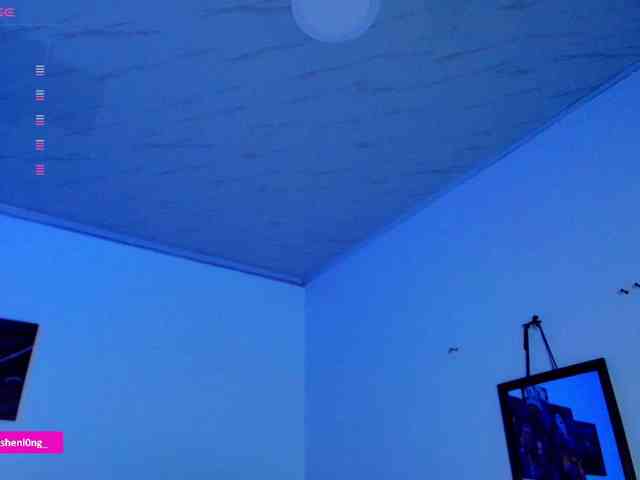 Nicorobin webcam