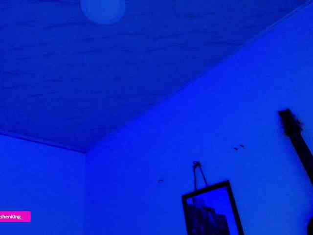 Nicorobin webcam