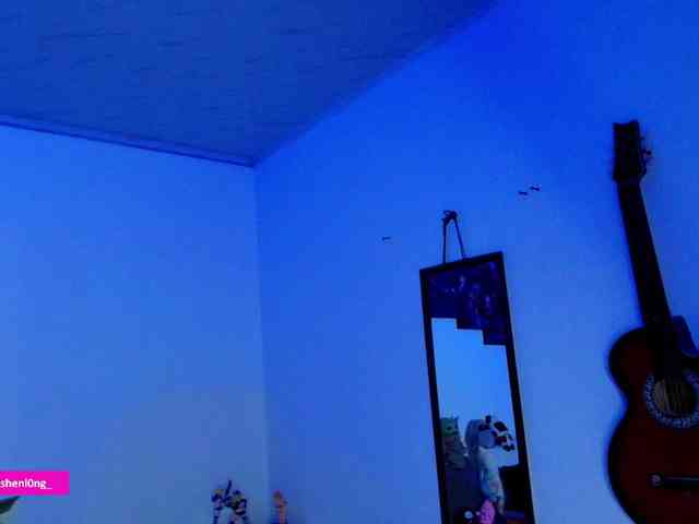 Nicorobin webcam