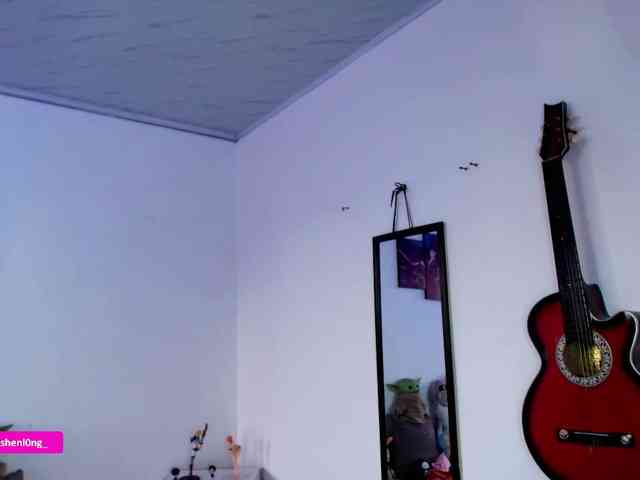 Nicorobin webcam