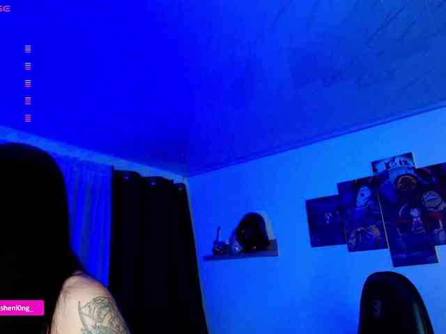Nicorobin webcam