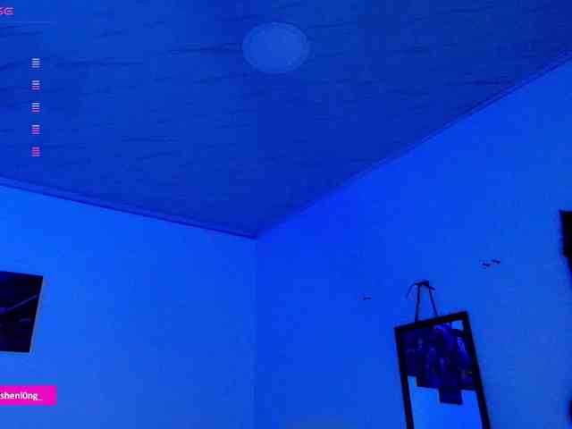 Nicorobin webcam