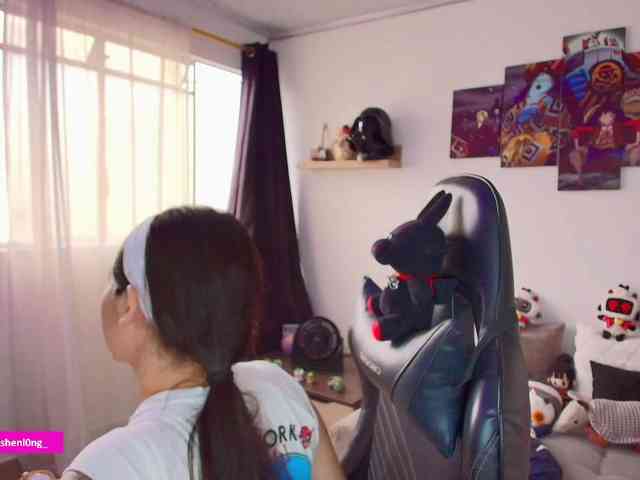 Nicorobin webcam