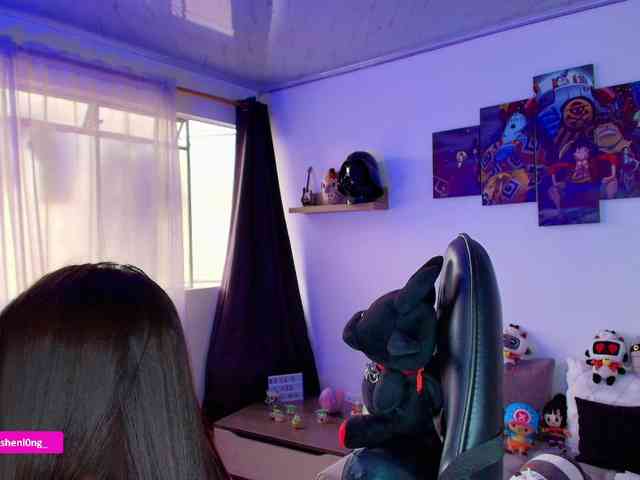 Nicorobin webcam