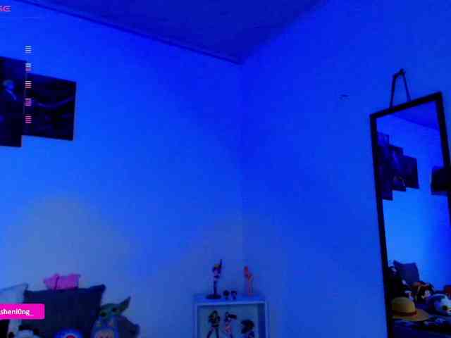 Nicorobin webcam