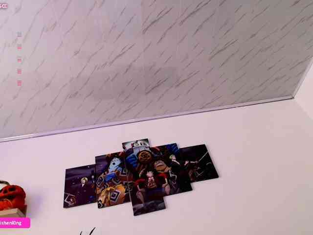 Nicorobin webcam