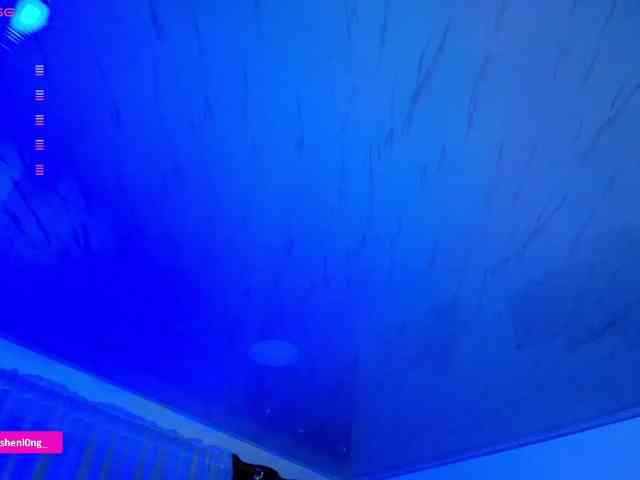 Nicorobin webcam