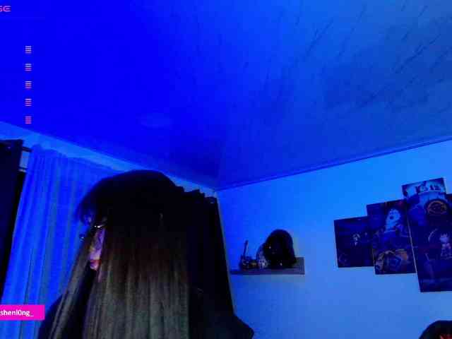 Nicorobin webcam