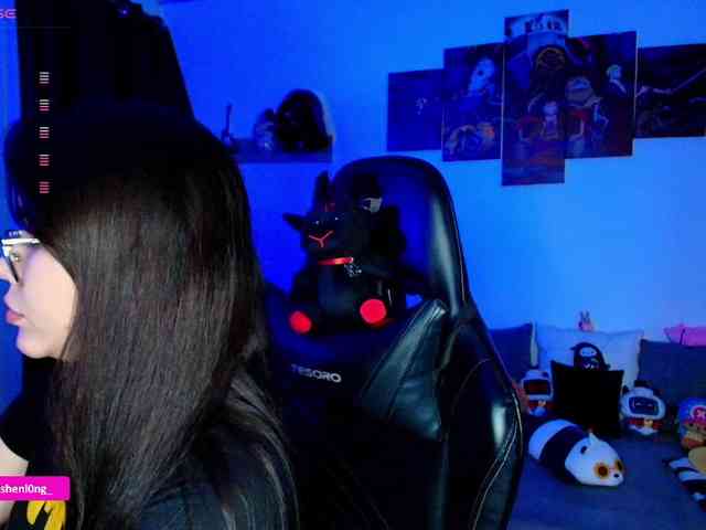 Nicorobin webcam