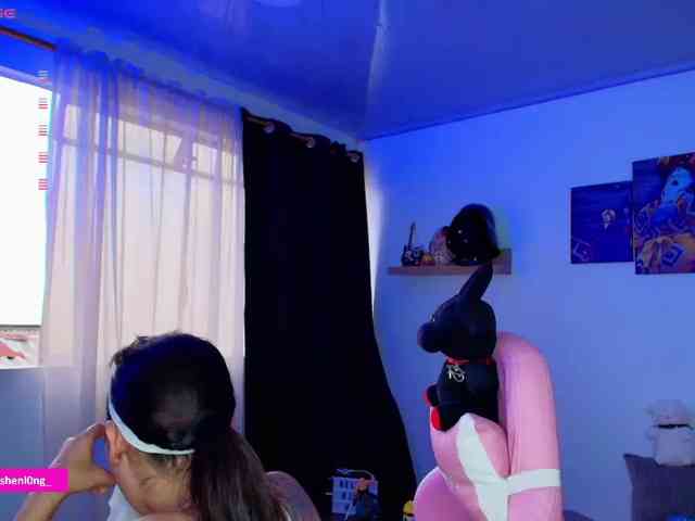 Nicorobin webcam
