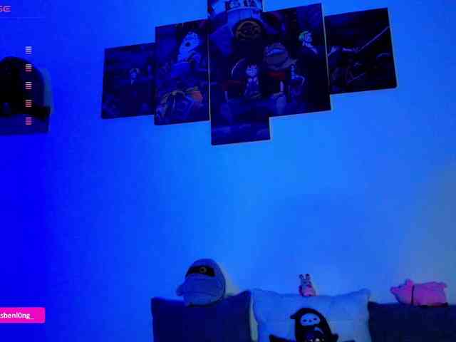 Nicorobin webcam