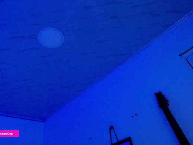 Nicorobin webcam