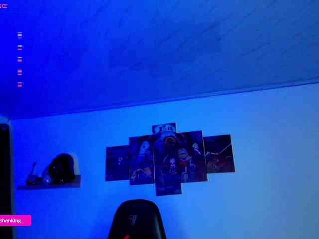 Nicorobin webcam