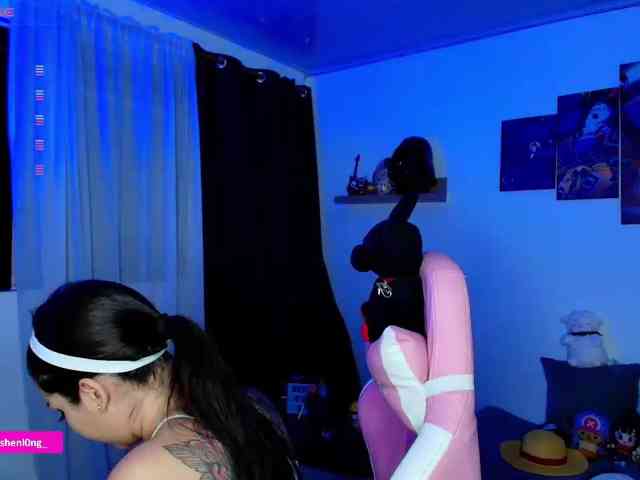 Nicorobin webcam