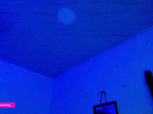 Nicorobin webcam
