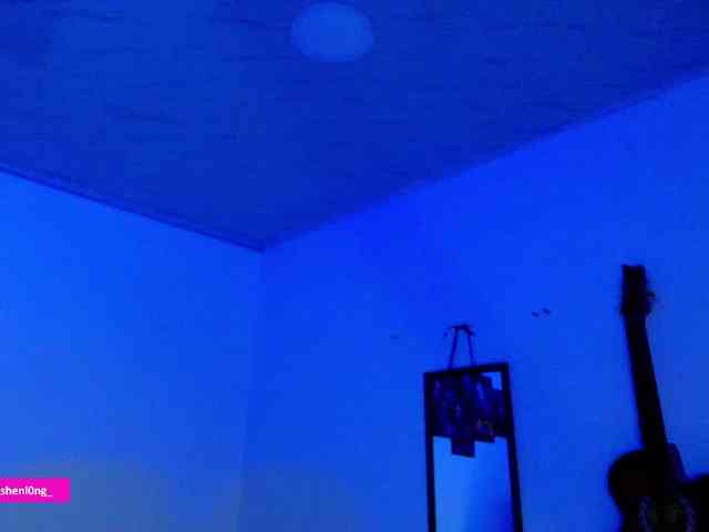 Nicorobin webcam