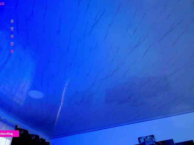 Nicorobin webcam