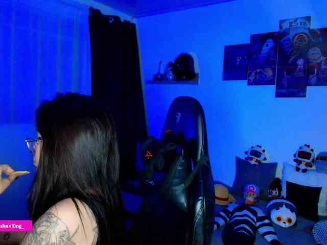 Nicorobin webcam