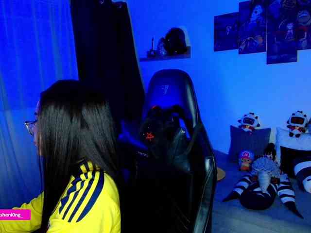 Nicorobin webcam